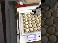 小型卵インクジェットプリンター Xy軸 インテリジェント卵インクジェットプリンター 完全自動