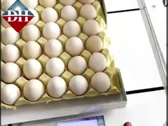 小型卵インクジェットプリンター Xy軸 インテリジェント卵インクジェットプリンター 完全自動